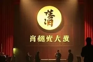 《青苔与铁轨》废弃铁轨旁的苔藓特写